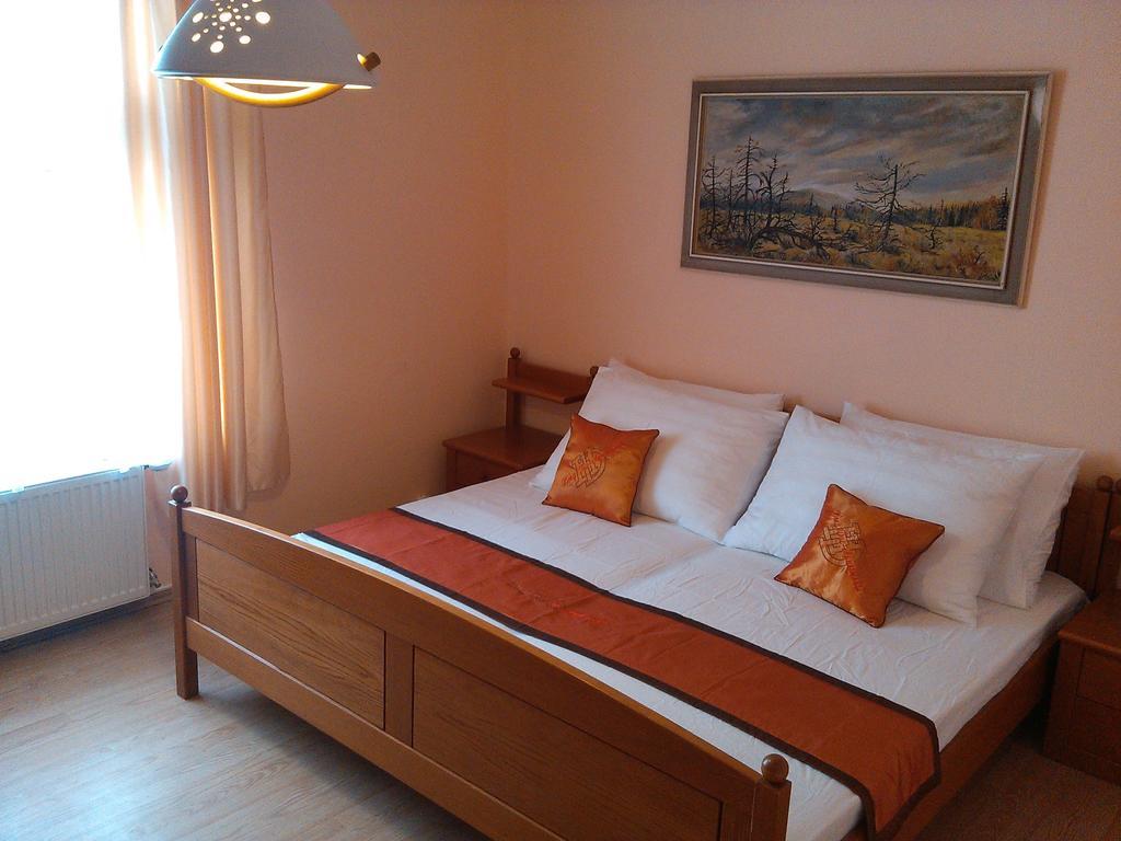 Pension Vidhous 1 Františkovy Lázně Exterior foto